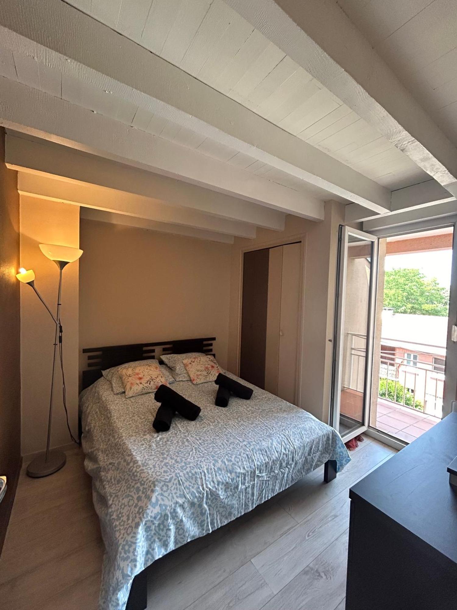 Le Venasque Avec Terrasse - Climatisation Apartment Toulouse Exterior photo